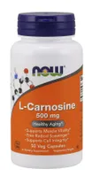 NOW Foods - Carnosine, L-Carnosine, 500mg, 50 vkaps