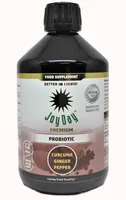 Joy Day - Probiotyk Premium, Kurkuma, Imbir, Pieprz, Płyn,  500 ml
