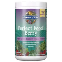 Garden of Life - Perfect Food, Blueberry, 240 g