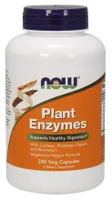 NOW Foods - Plant Enzymes, Plant Enzymes, 240 vkaps