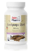 Zein Pharma - Kordyceps, Cordyceps CS-4, 500mg, 120 kapsułek