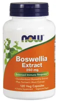 NOW Foods - Boswelia Extract + Turmeric, 250mg, 120 vkaps