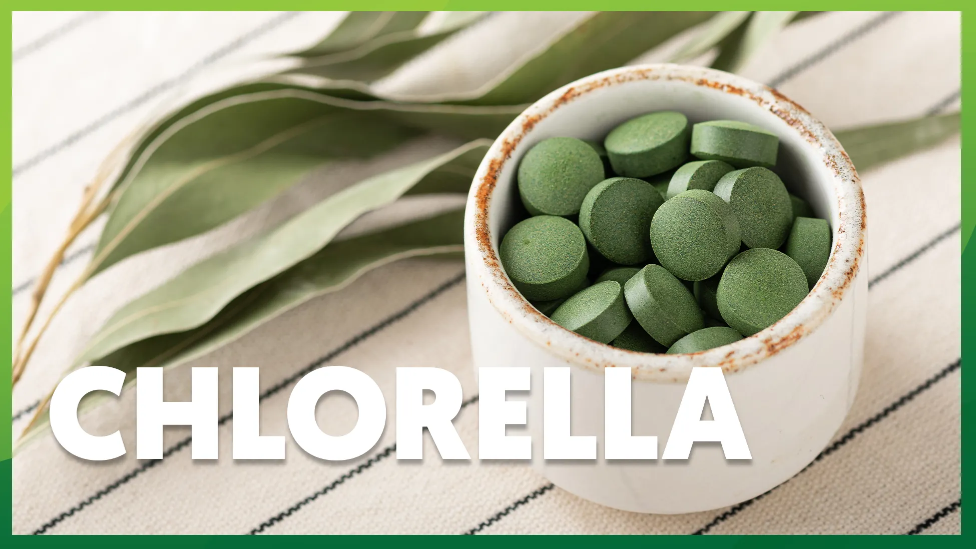 Chlorella: rano czy wieczorem?