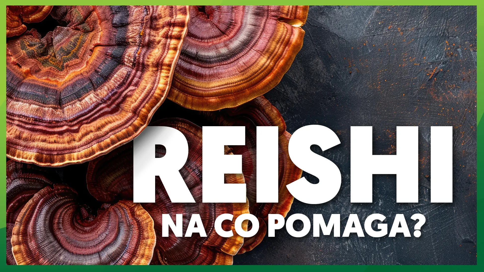 Reishi: na co pomaga?