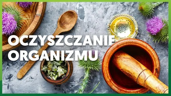 Jak oczyszczać organizm z toksyn?