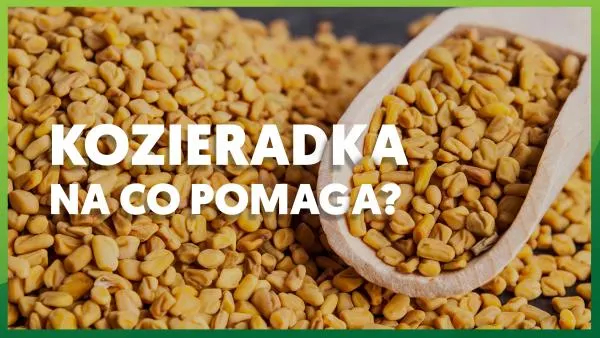 Kozieradka: na co pomaga?