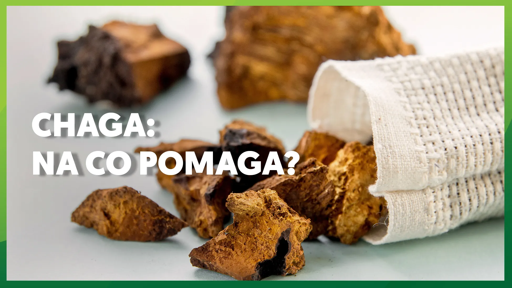 Chaga: na co pomaga? 