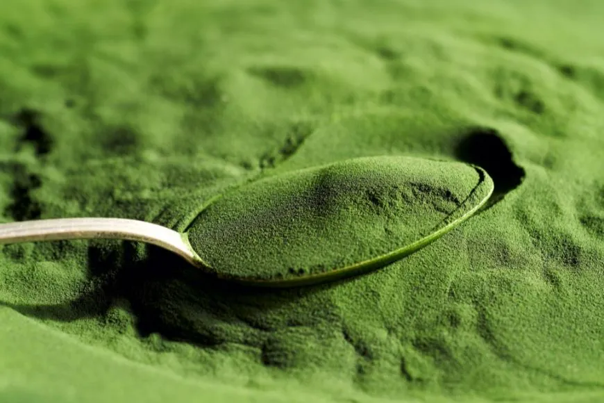 Chlorella 