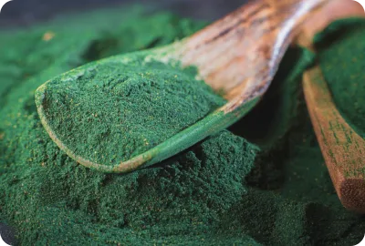 spirulina